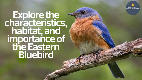 The Eastern Bluebird: A Symbol of Happiness and Renewal