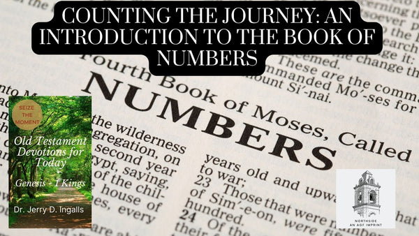 Counting the Journey: An Introduction to the Book of Numbers