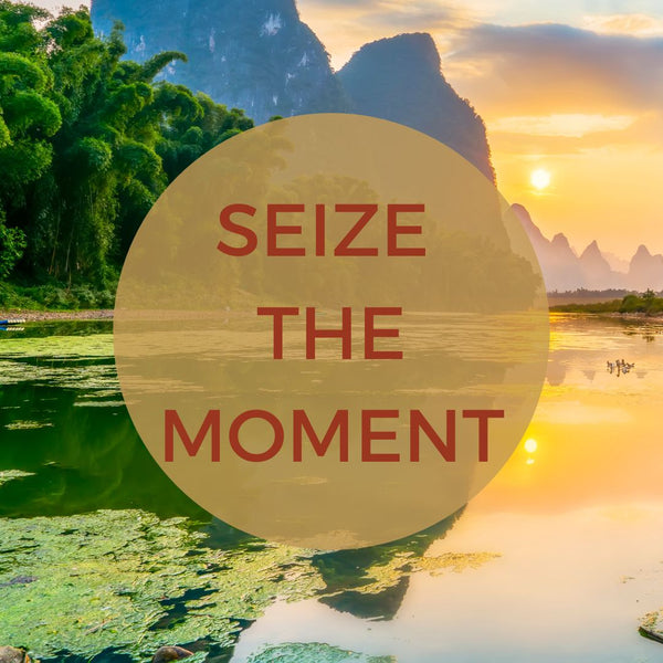 Seize the Moment Devotions
